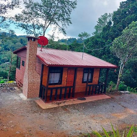 Las Bromelias Lodge Paso Macho Ngoại thất bức ảnh