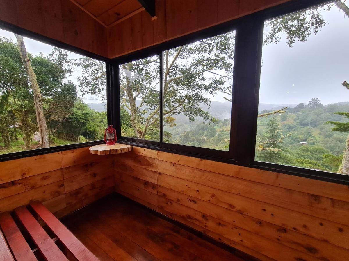 Las Bromelias Lodge Paso Macho Ngoại thất bức ảnh