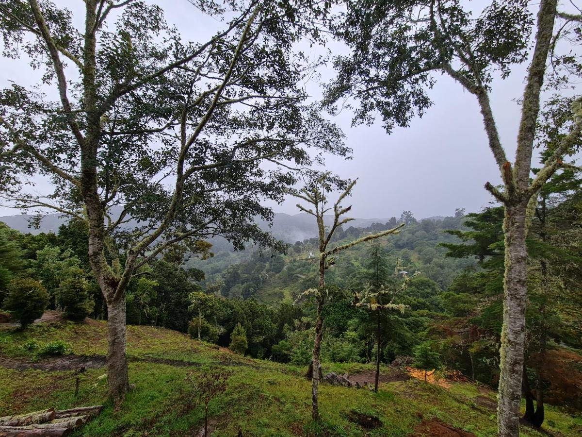Las Bromelias Lodge Paso Macho Ngoại thất bức ảnh