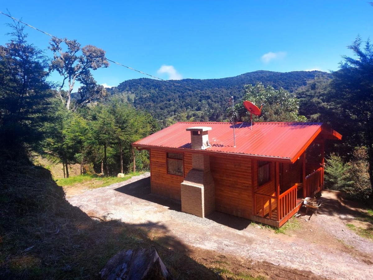 Las Bromelias Lodge Paso Macho Ngoại thất bức ảnh