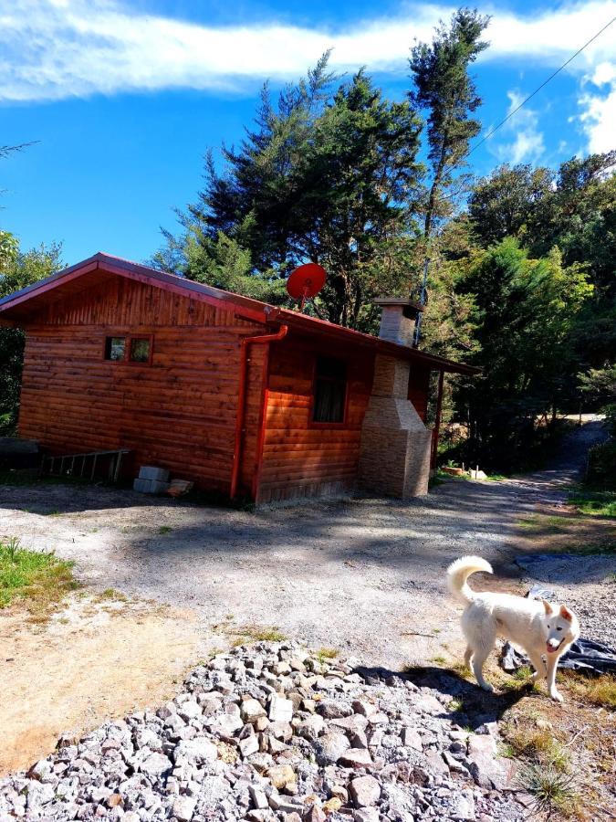 Las Bromelias Lodge Paso Macho Ngoại thất bức ảnh
